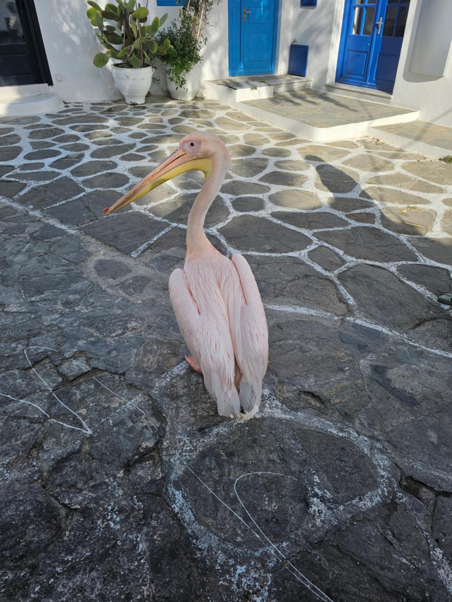 Classic Classy * Mykonos Town